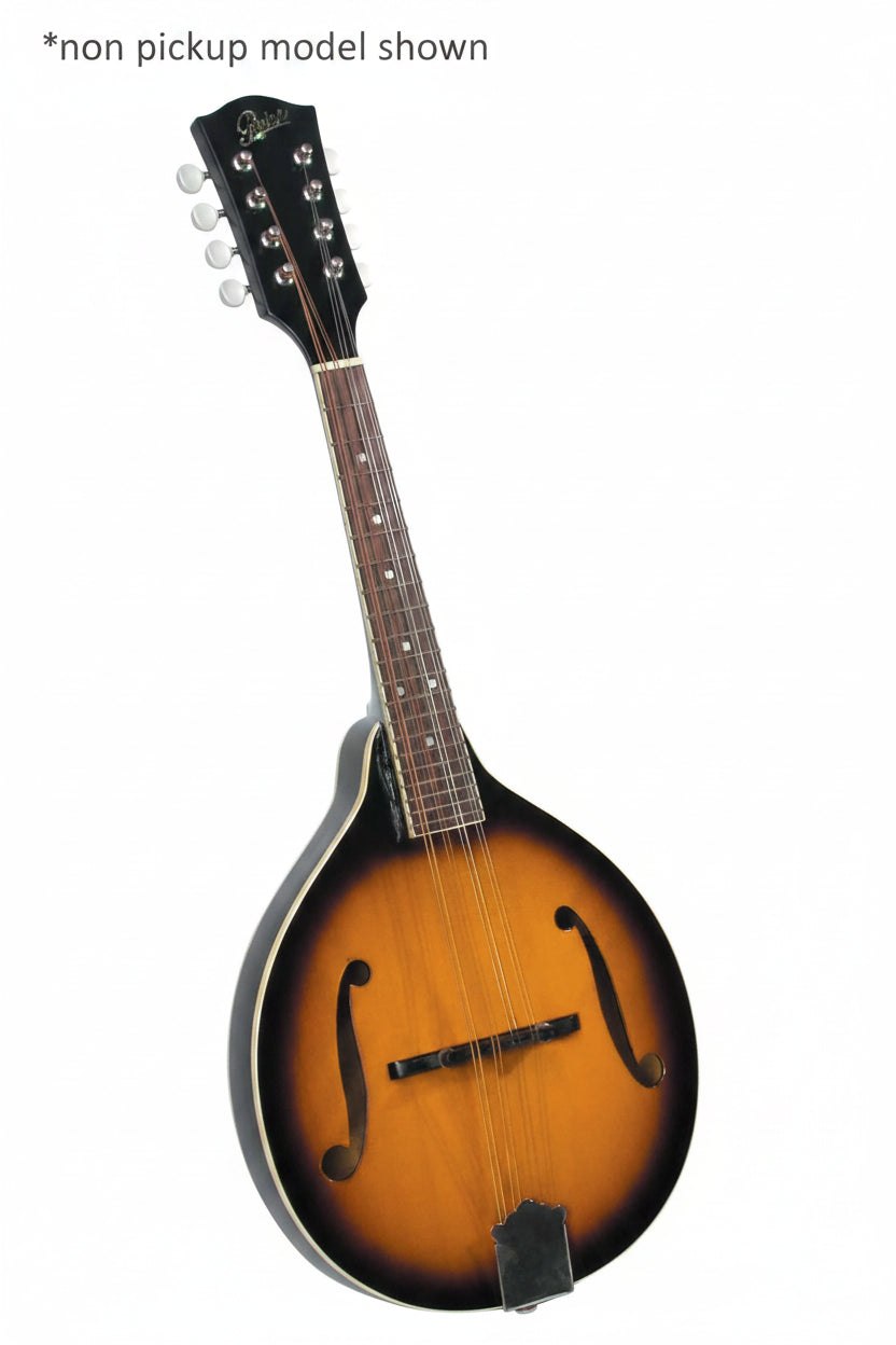 Rover RM-50E A-Style Deluxe Student Mandolin w/ Pickup
