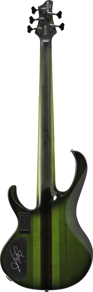 Ibanez SDGB1DMT 5 String Electric Bass Guitar - Dark Moss Burst