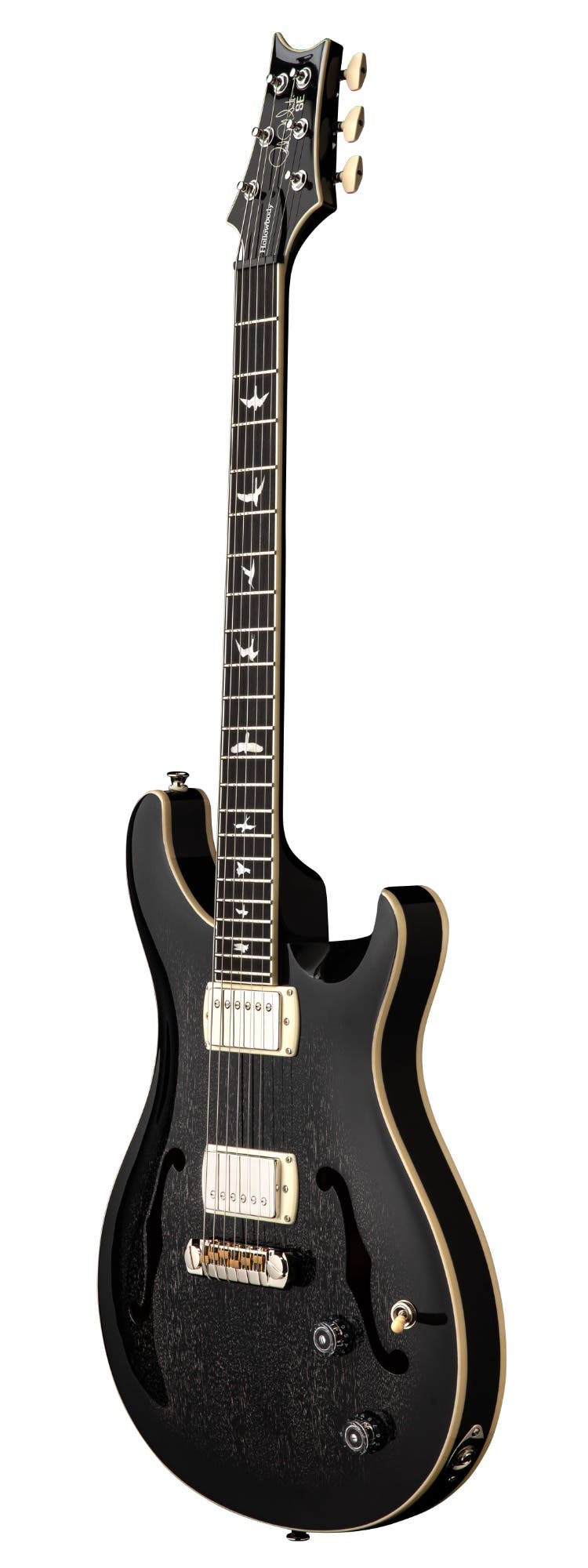 Paul Reed Smith (PRS) SE Hollowbody Standard - Dog Hair Smokeburst