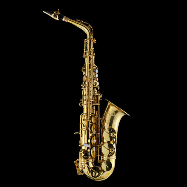 Schagerl Model 66 Eb Alto Saxophone w/high F# key Raw Brass finish