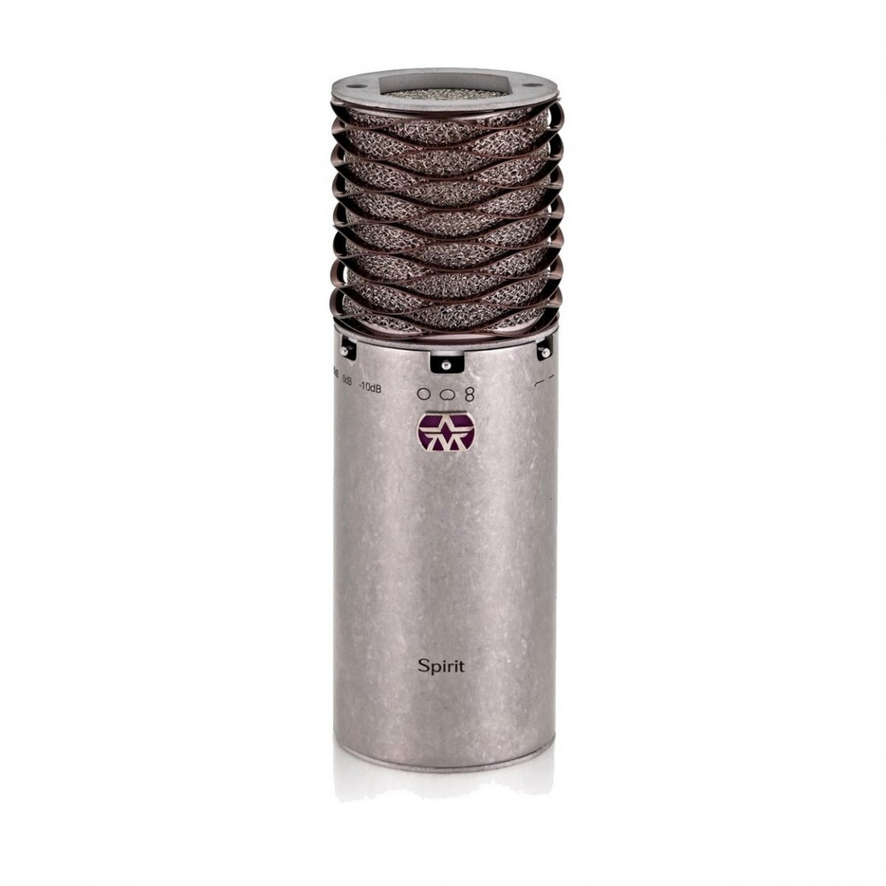 Aston Microphones Spirit - Stereo Pair