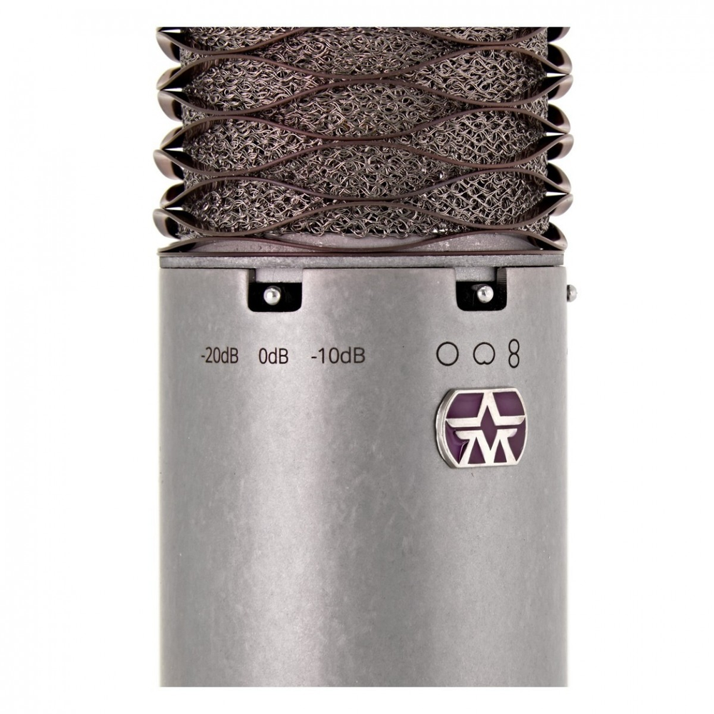 Aston Microphones Spirit - Stereo Pair
