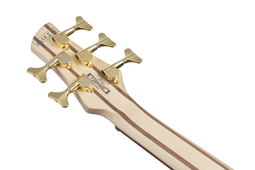 Ibanez SR305EDX  5 String Electric Bass - Wine Red Frozen Matte