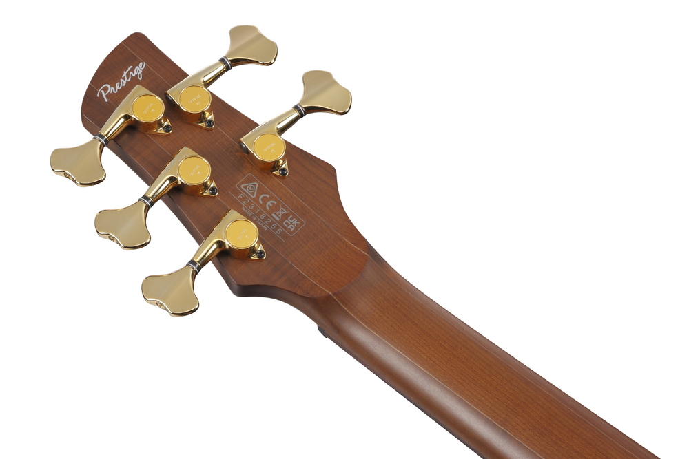 Ibanez SR3505 5 String Electric Bass w/ Case - Black