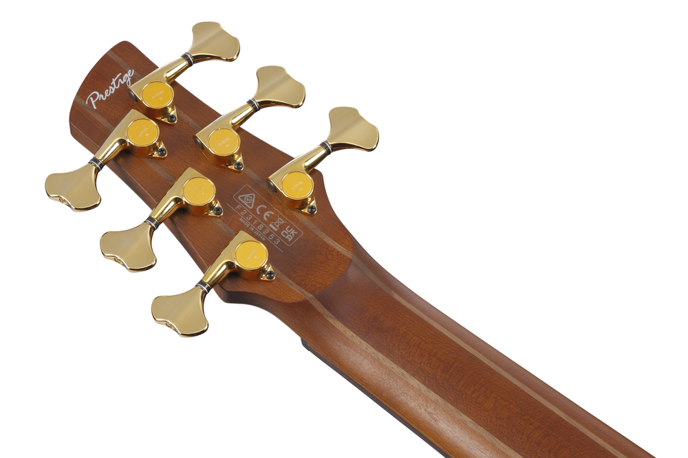 Ibanez SR3506 6 String Electric Bass w/ Case - Black