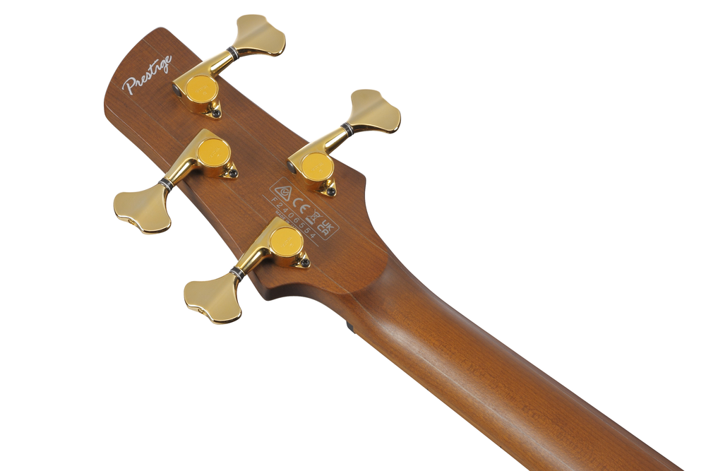 Ibanez SR4500 Electric Bass w/ Case - Desert Sunset Burst