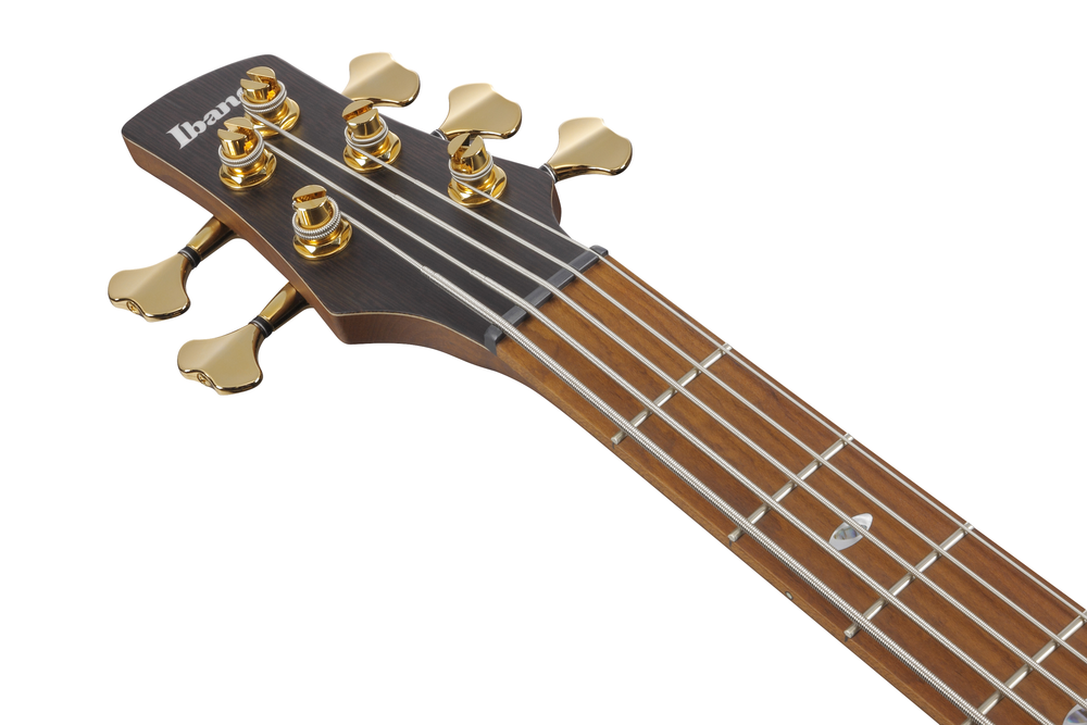 Ibanez SR4505 5 String Electric Bass w/ Case - Desert Sunset Burst