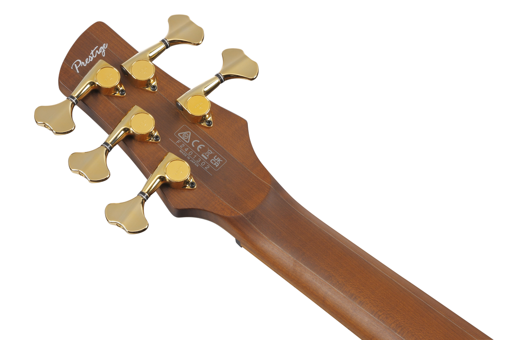 Ibanez SR4505 5 String Electric Bass w/ Case - Desert Sunset Burst