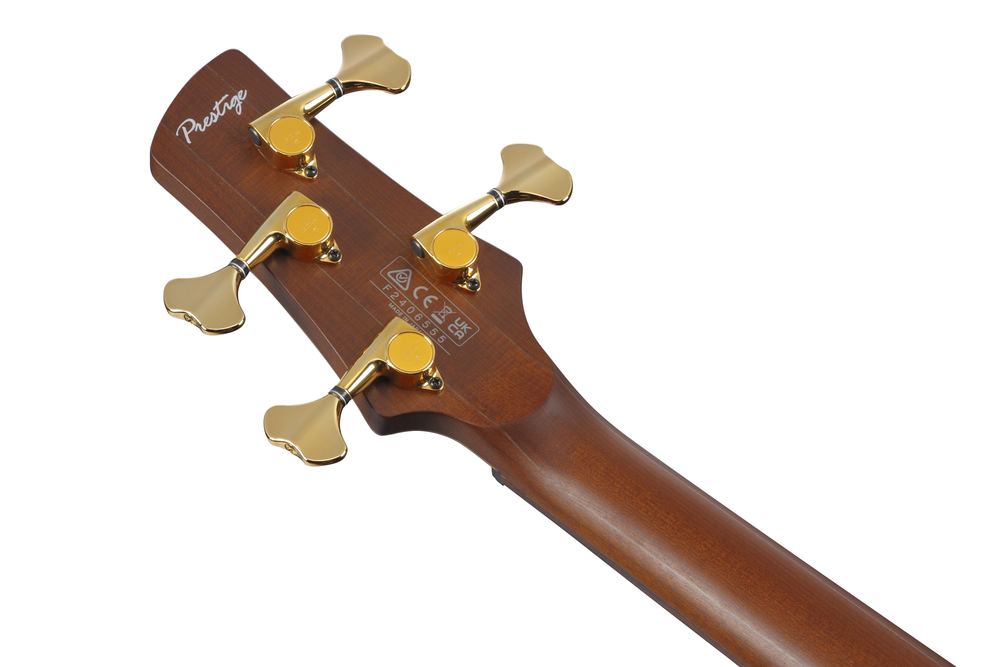 Ibanez SR5500 Electric Bass w/ Case - Mocha Flat