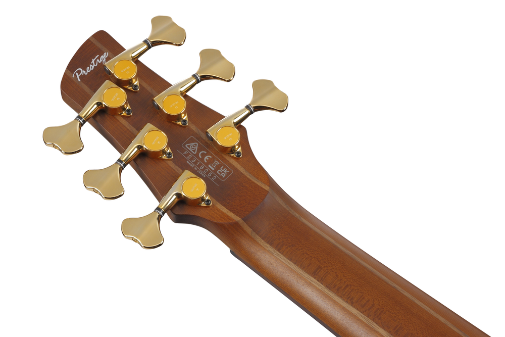 Ibanez SR5506 6 String Electric Bass w/ Case - Mocha Flat