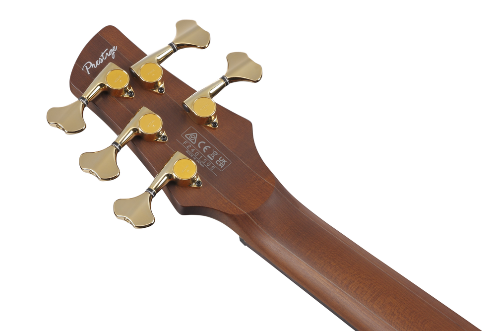 Ibanez SR6605 5 String Electric Bass w/ Case - Ghost Fleet Blue Burst