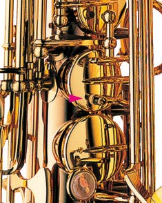 Professional Alto S/Silver Neck/Body