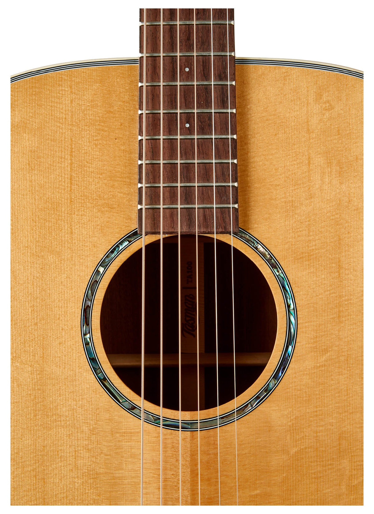 Tasman Seeker TA100 Dreadnought Acoustic Guitar w/Case