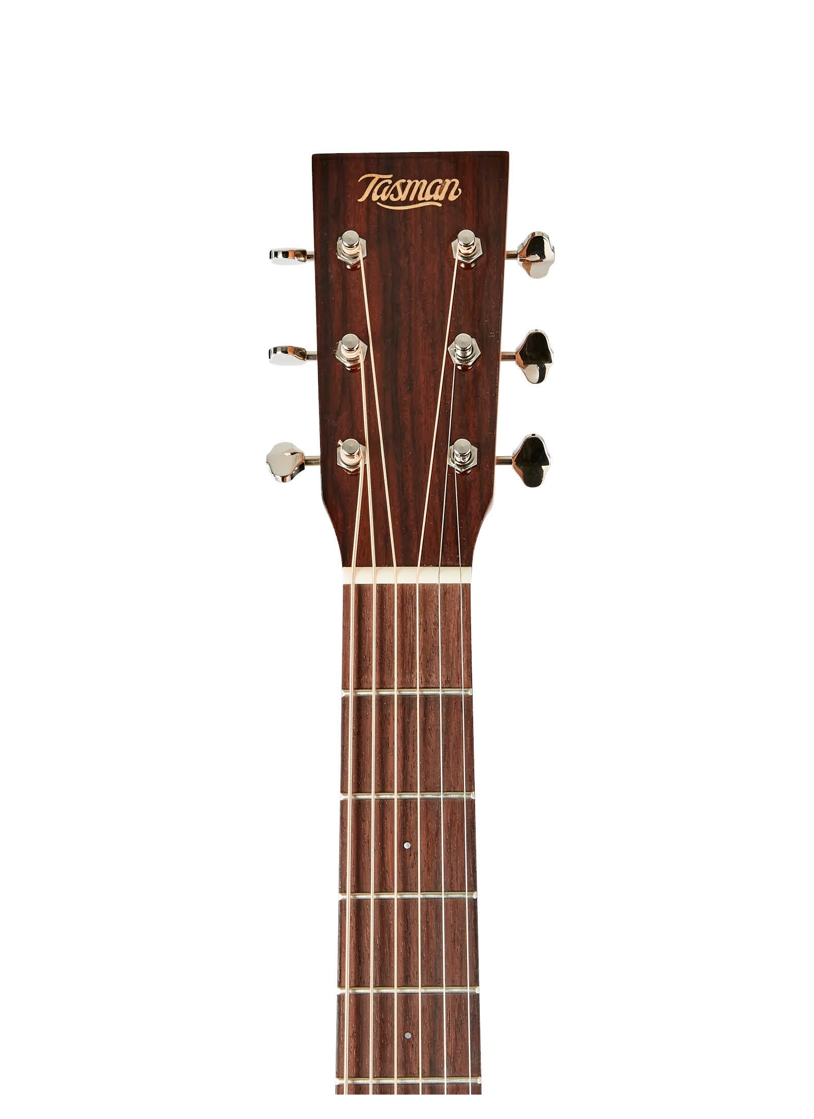 Tasman Seeker TA100-CE Dreadnought Acoustic/Electric Guitar w/Case