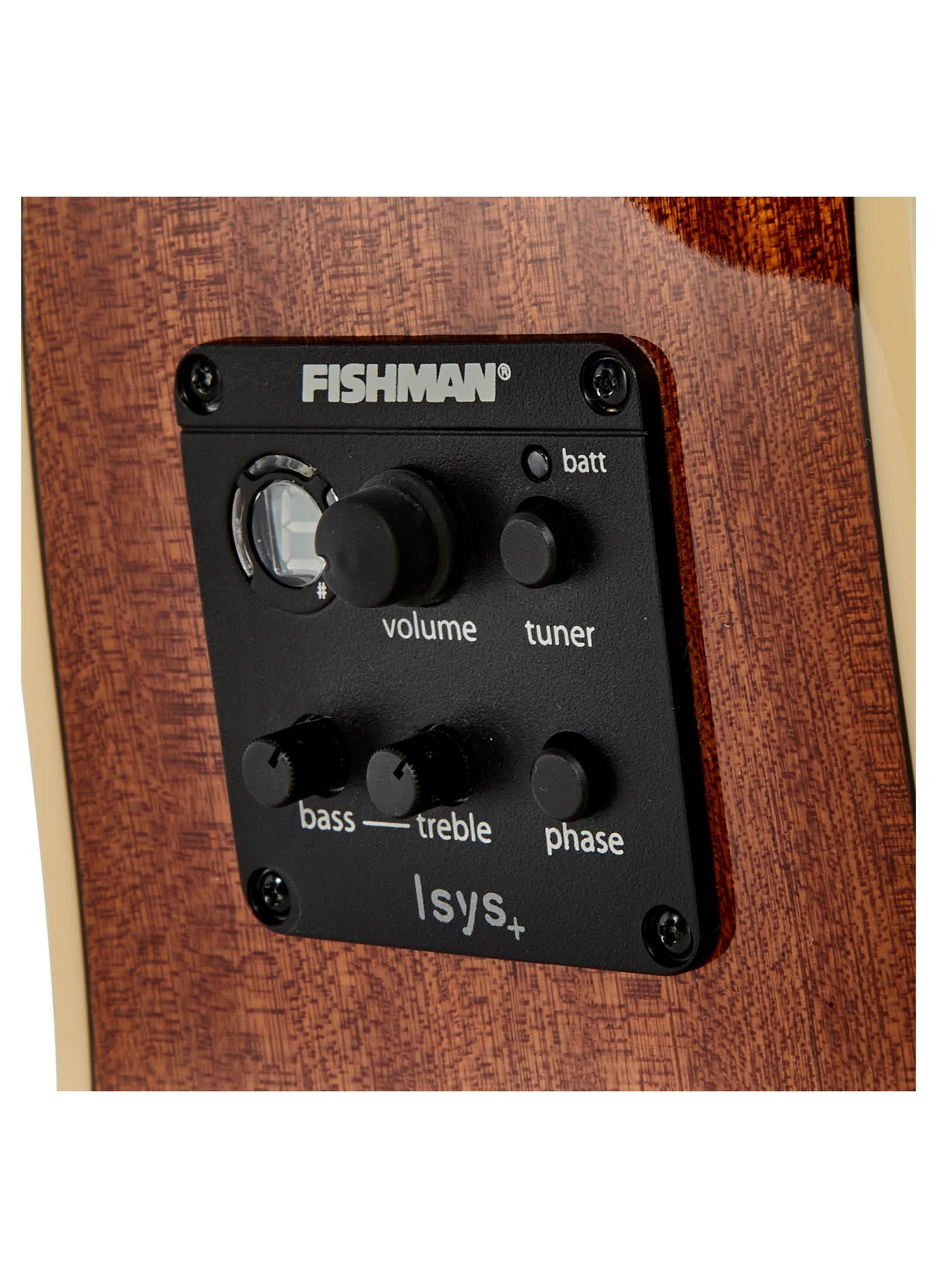 Tasman Seeker TA100-CE Dreadnought Acoustic/Electric Guitar w/Case