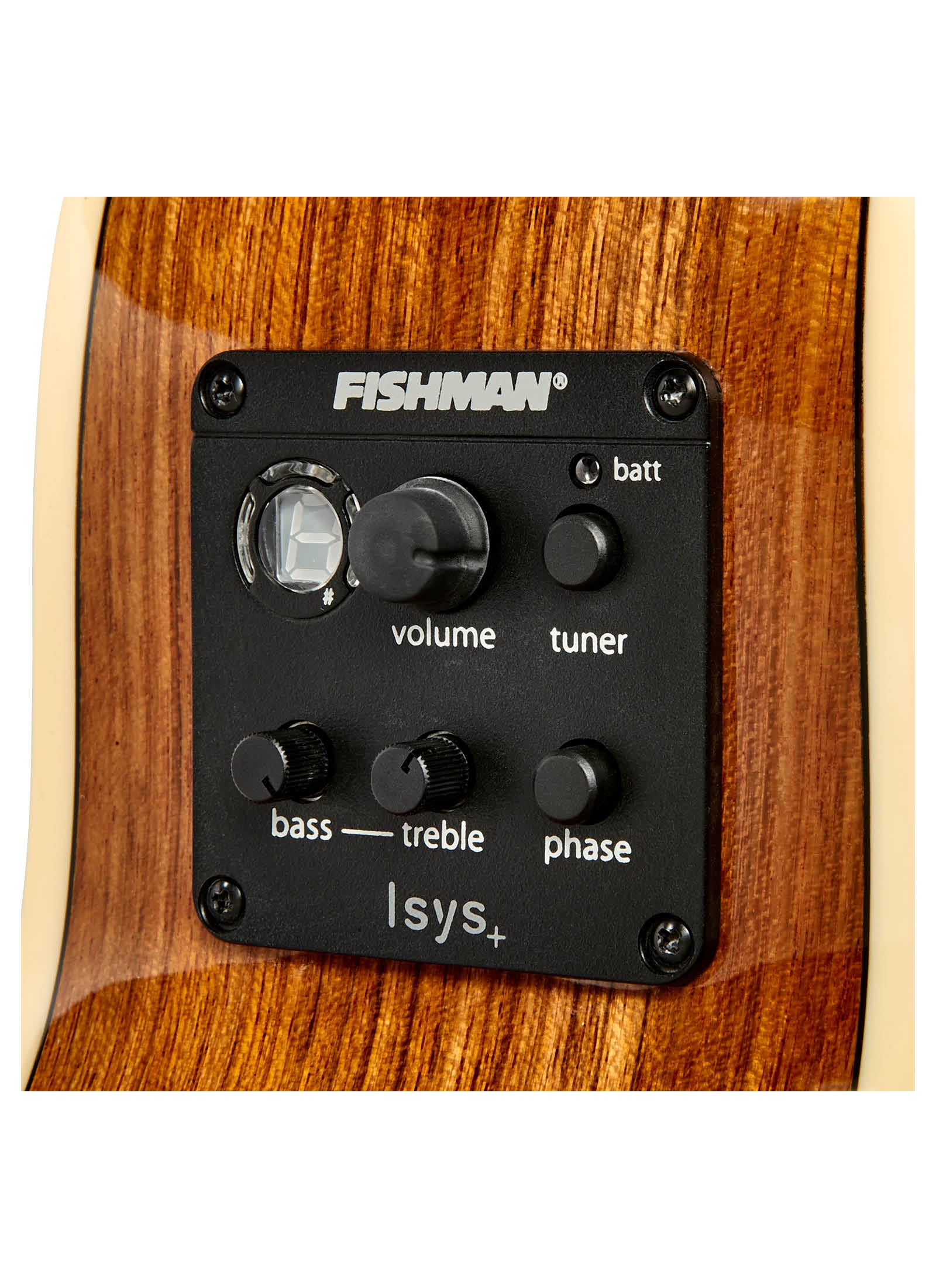 Tasman Seeker TA100-ME Mini Jumbo Acoustic Electric Guitar w/Case