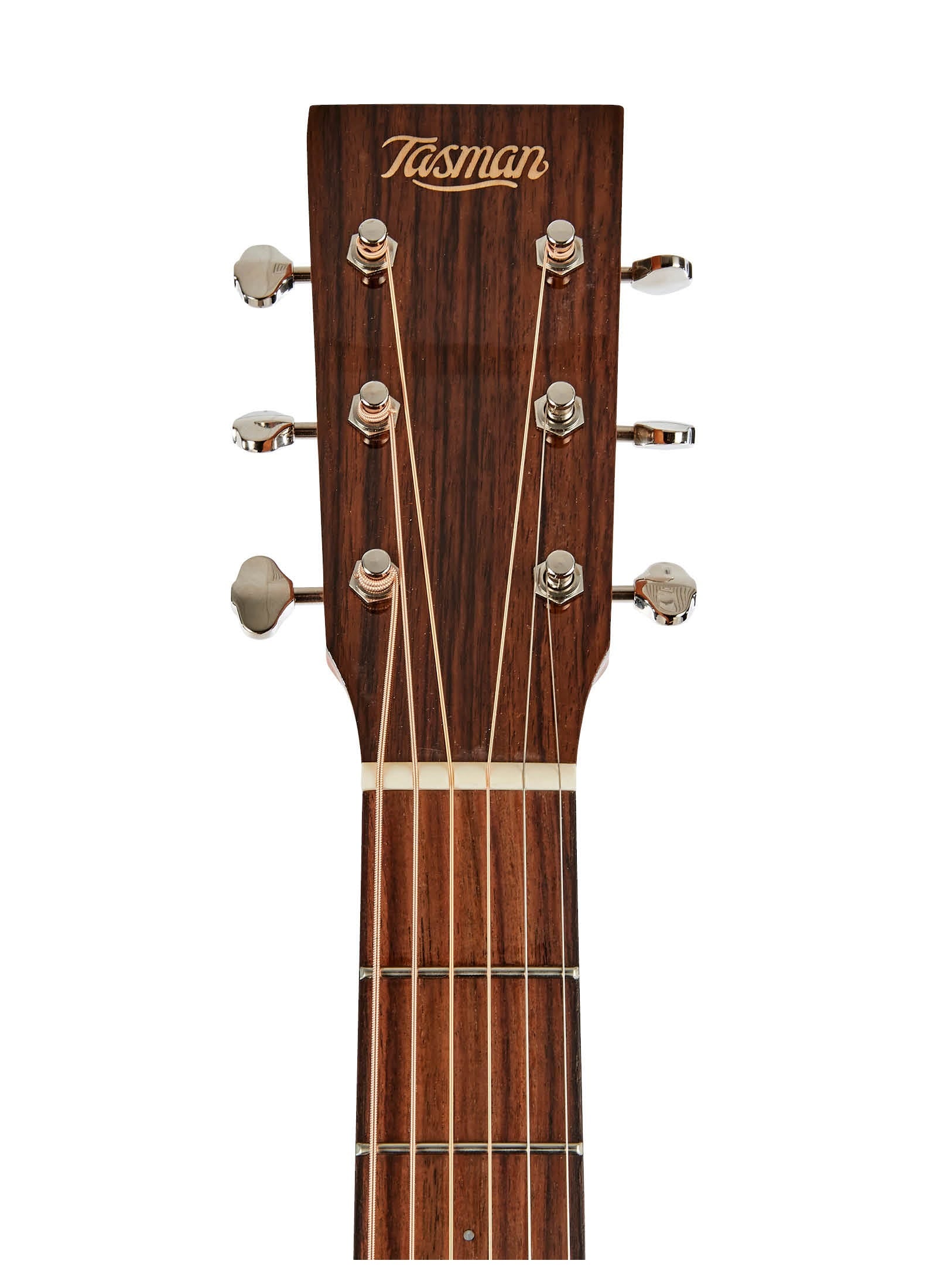 Tasman Captain TA200D-E Dreadnought Acoustic/Electric Guitar w/Case