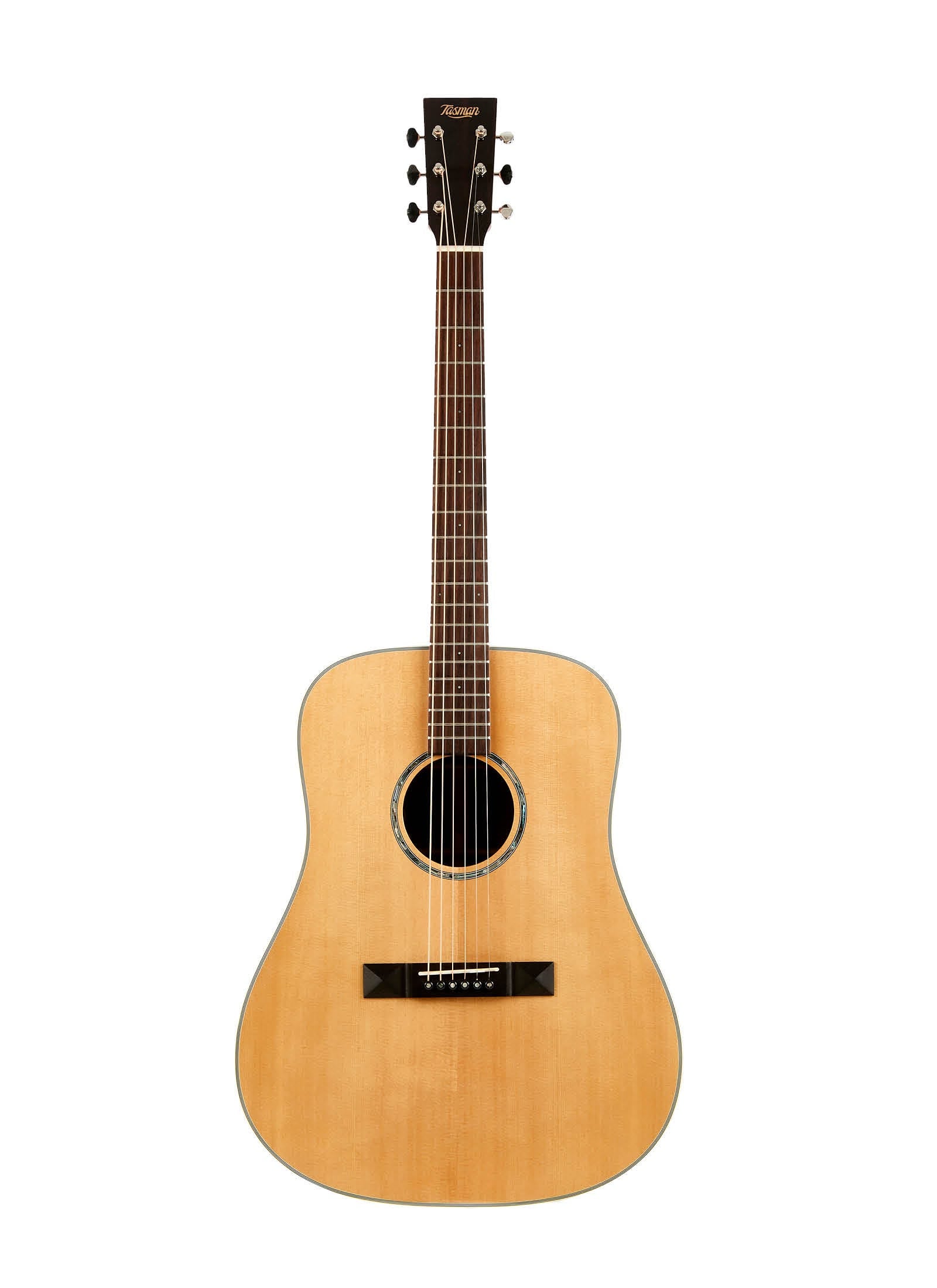 Tasman Captain TA200-E Dreadnaught Acoustic/Electric Guitar w/Case