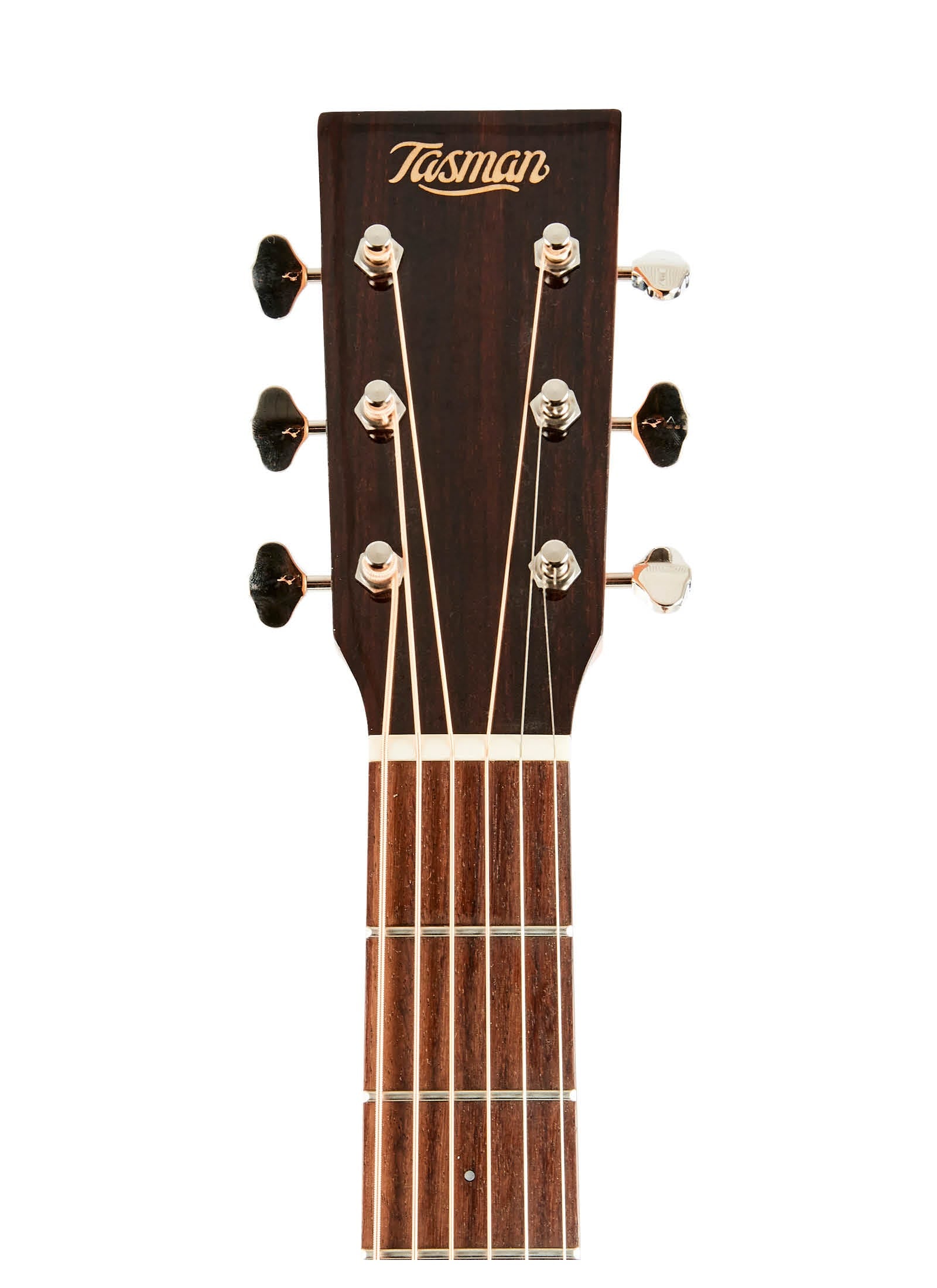 Tasman Captain TA200-E Dreadnaught Acoustic/Electric Guitar w/Case