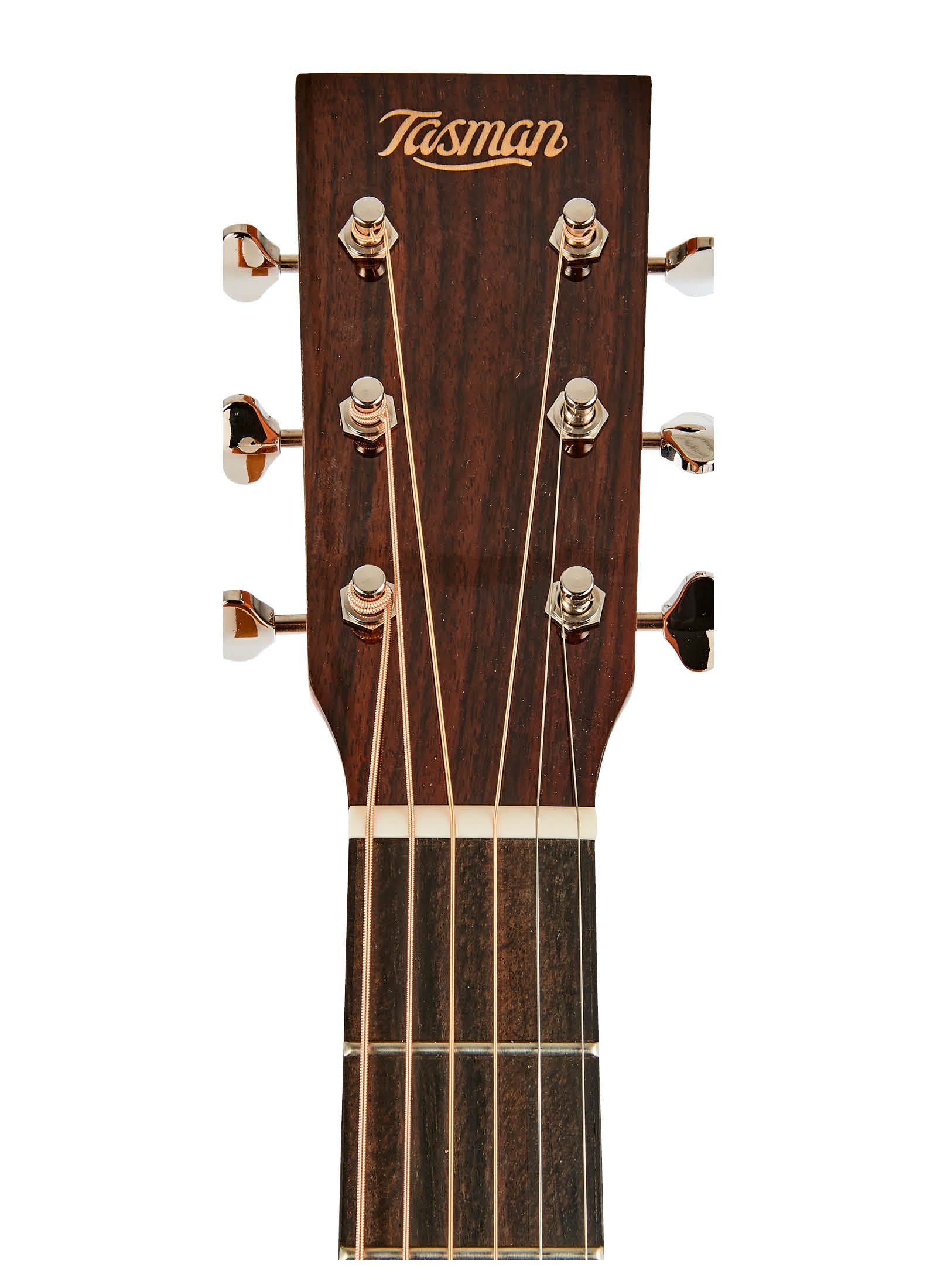 Tasman Admiral TA300-E Dreadnought Acoustic Electric Guitar w/Case