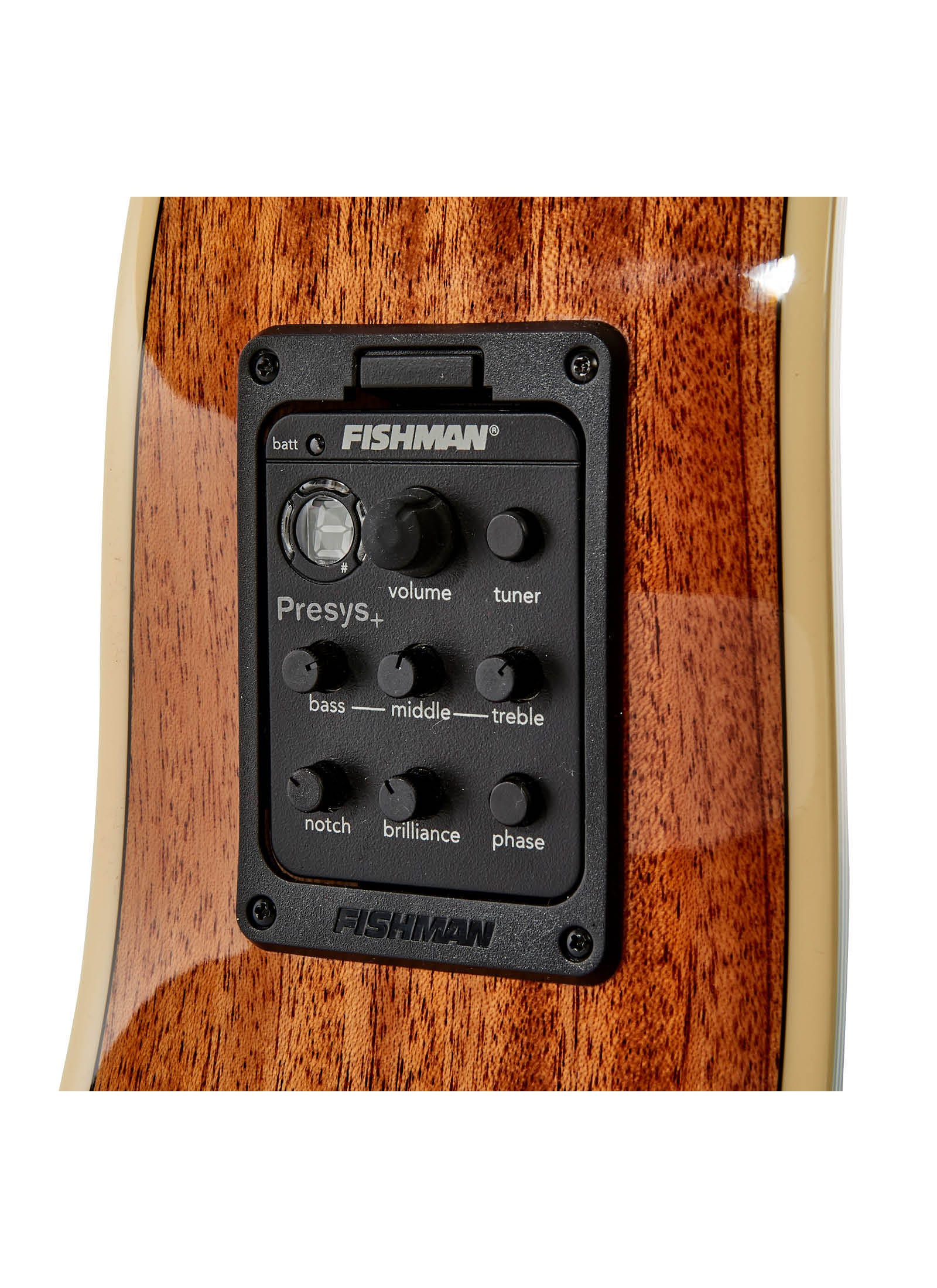 Tasman Admiral TA300-E Dreadnought Acoustic Electric Guitar w/Case