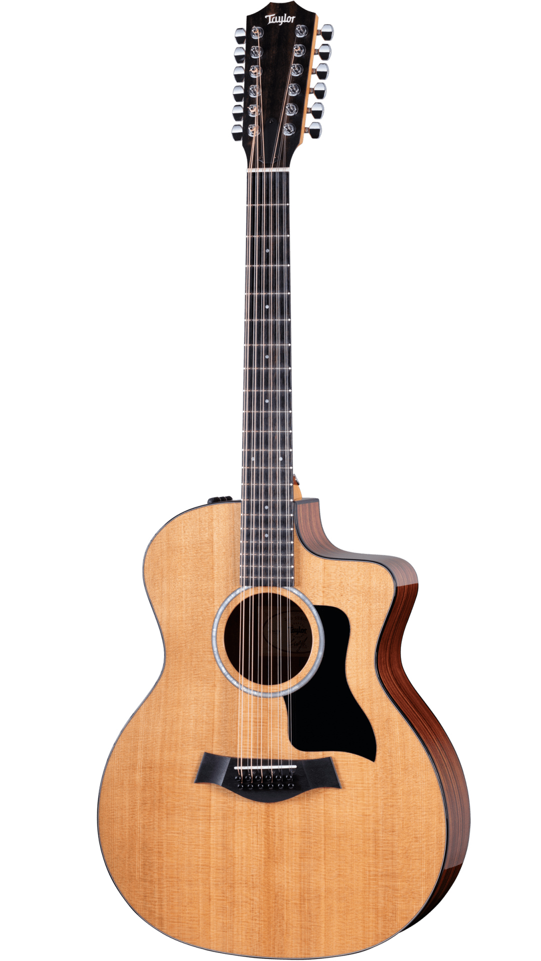 Taylor 254ce PLUS 12-String Acoustic Electric Guitar  - Spruce / Rosewood