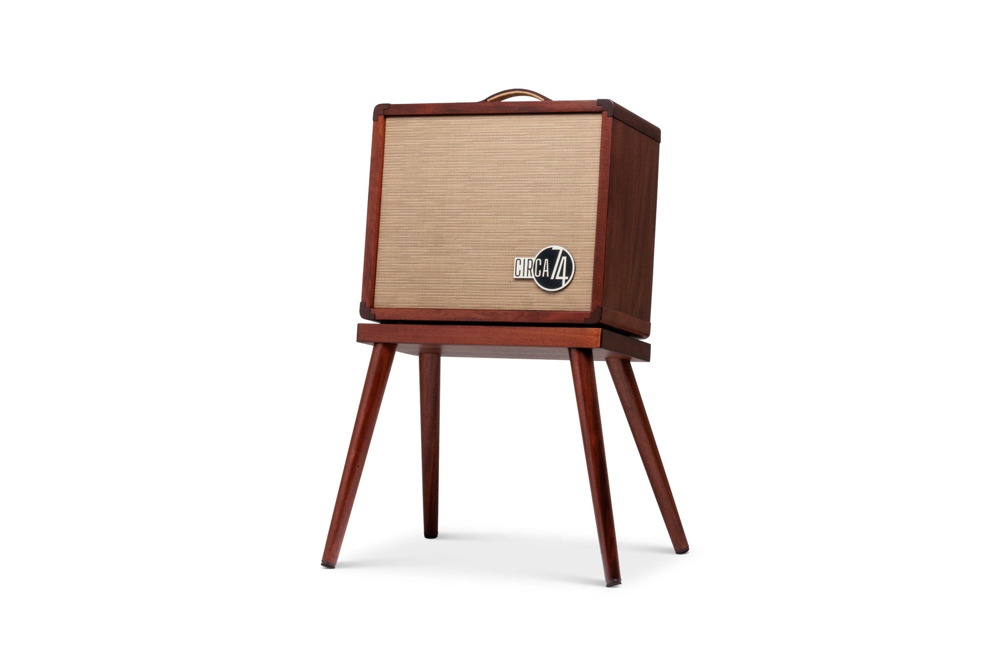 Taylor Circa 74 Acoustic Guitar / Vocal Amplifier