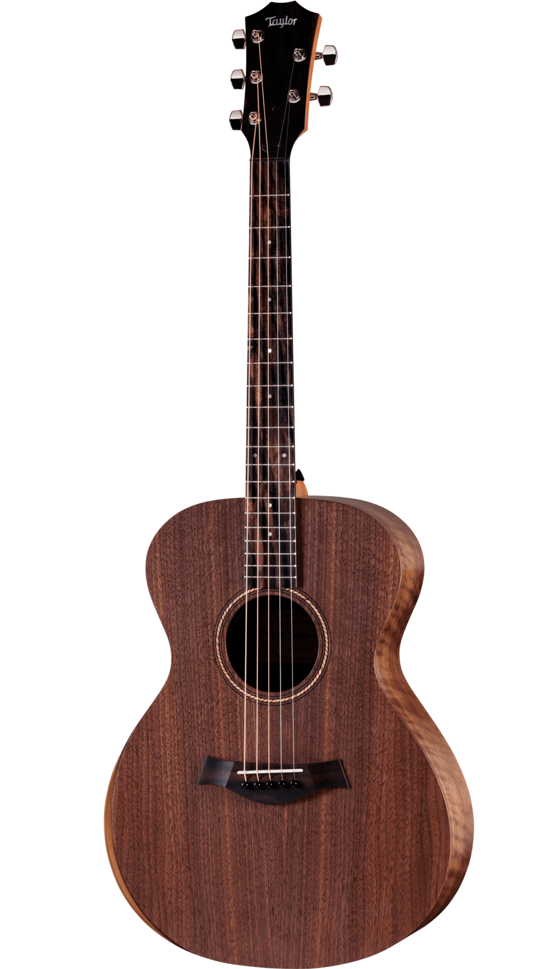 Taylor Jacob Collier Academy 22e 5-String