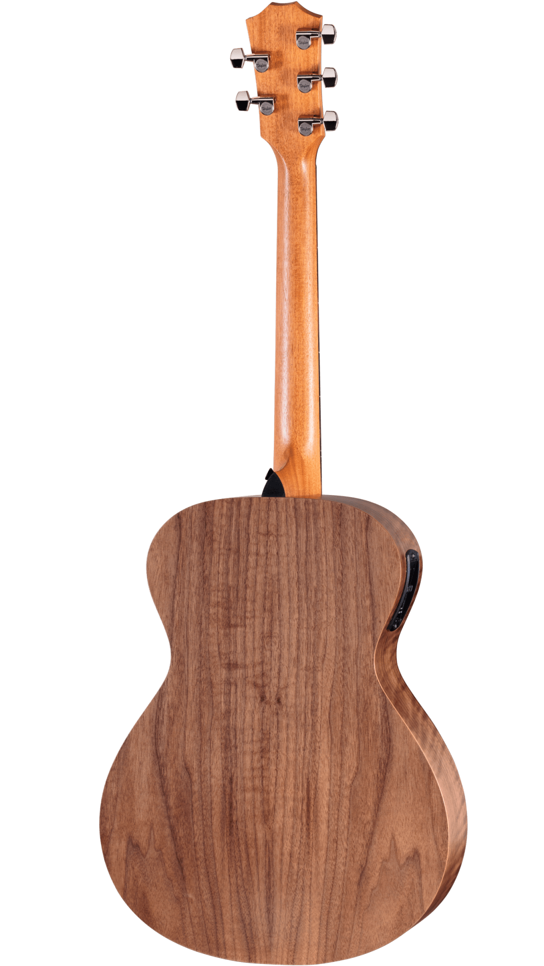 Taylor Jacob Collier Academy 22e 5-String