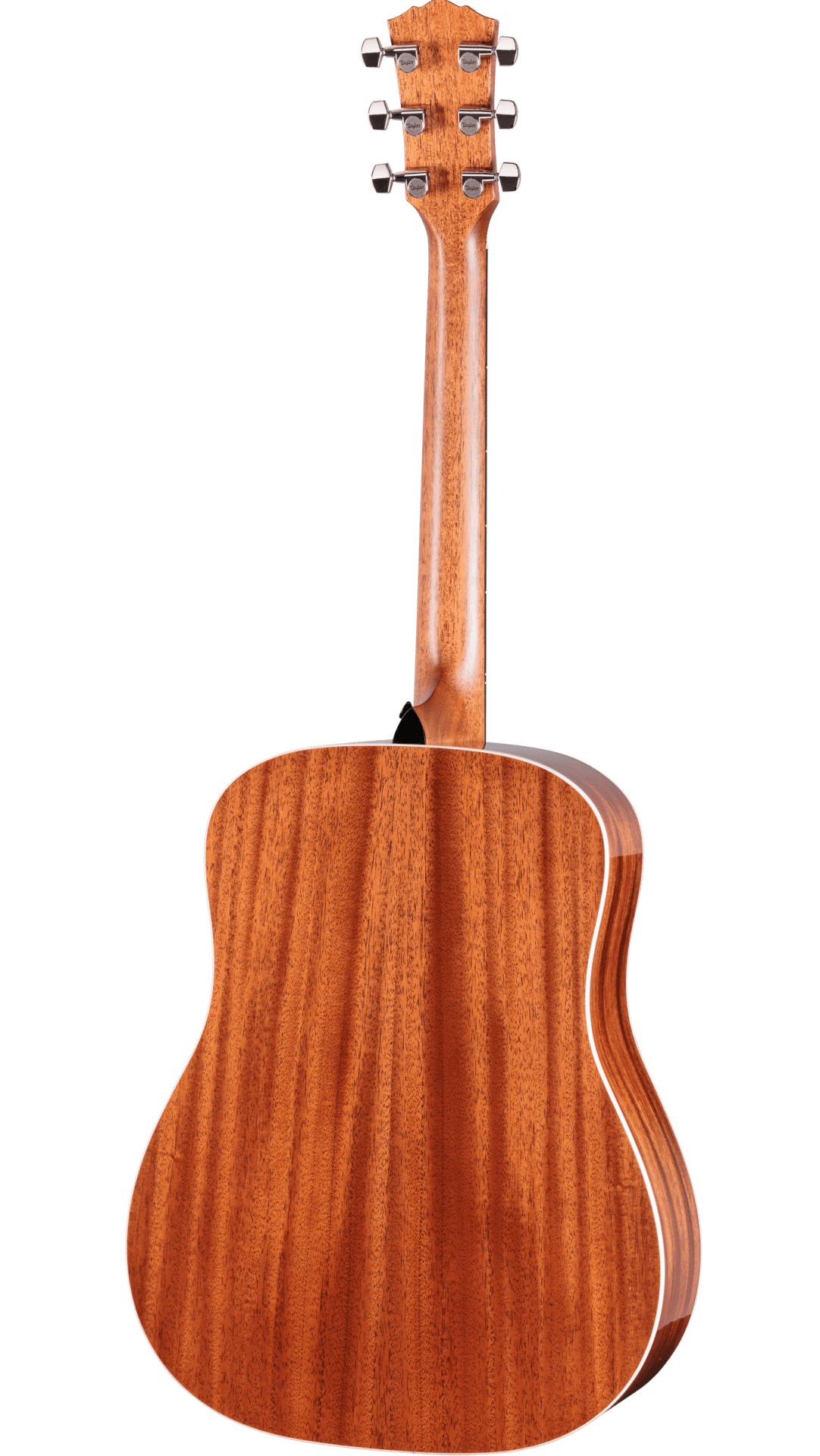 Taylor Trey Hensley Gold Label 510e Special Edition