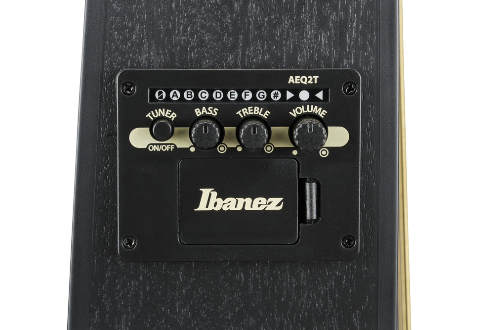 Ibanez TCY621 Acoustic Guitar - Black Out