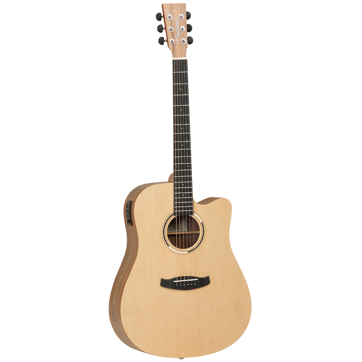 Tanglewood Discovery Exotic Dreadnought Acoustic Guitar - Spruce/Hawaiian Rainwood (TDBTDCEHR)