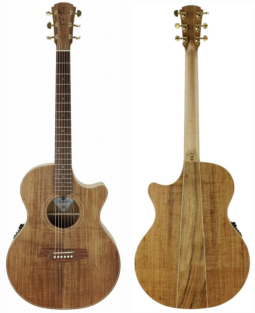 Cole Clark TL2EC-BLBL Thinline Acoustic Electric Guitar - Blackwood