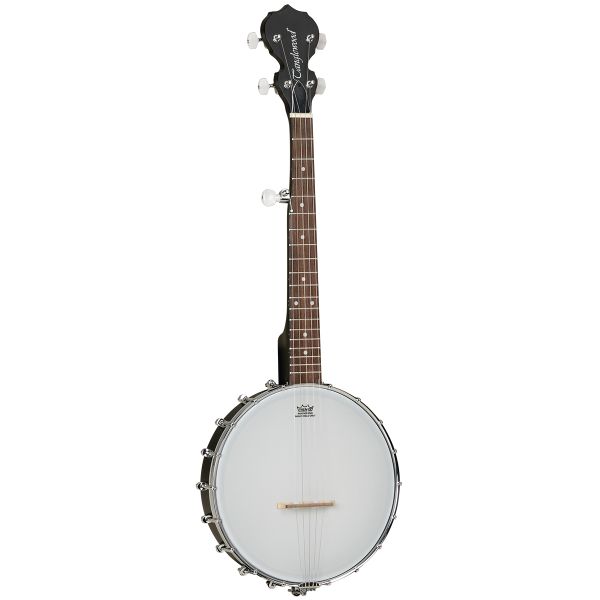 Tanglewood TWBT 5-String Traveller Banjo