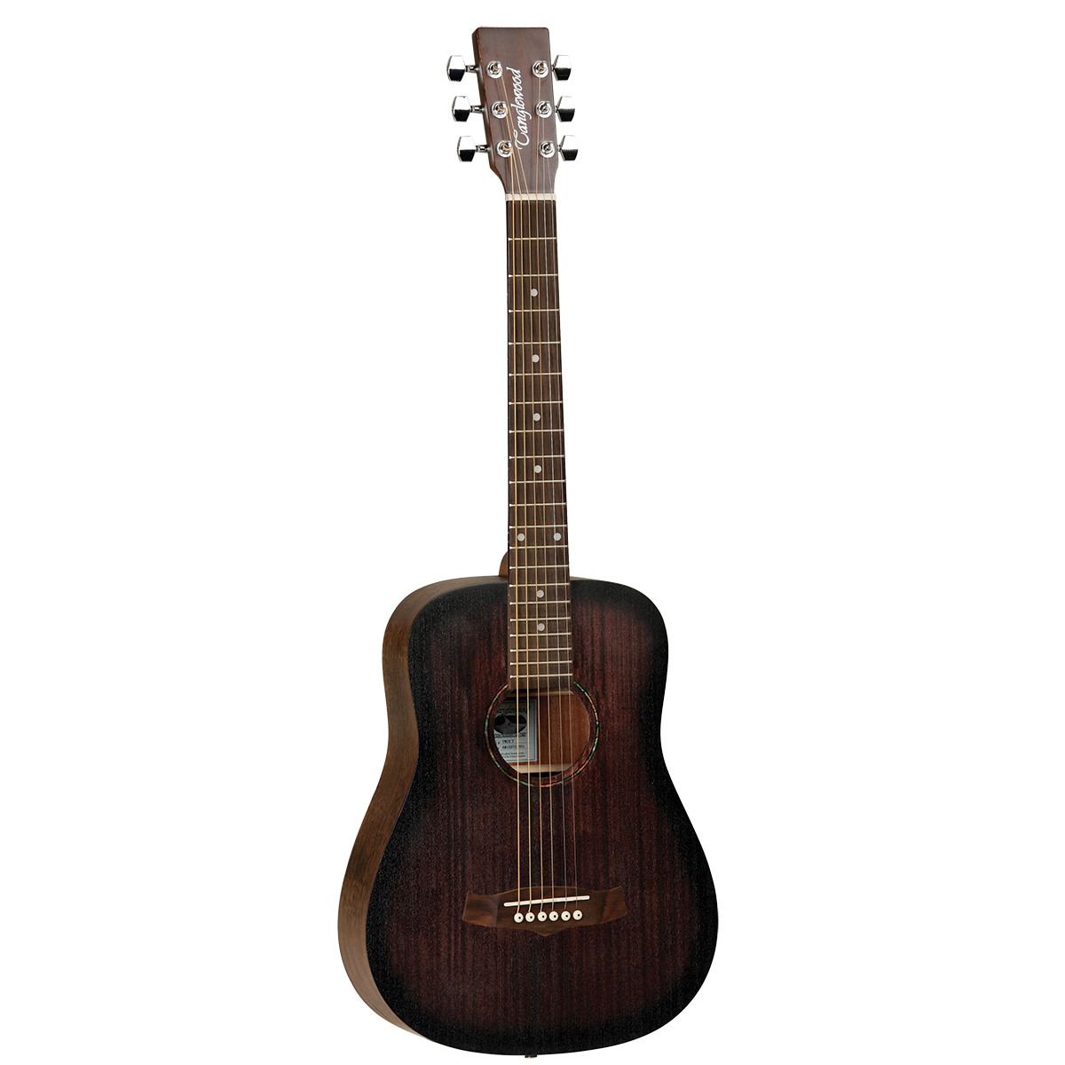 Tanglewood TWCRT Crossroads Traveller Acoustic Guitar