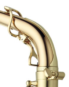 Professional Alto S/Silver Neck/Body