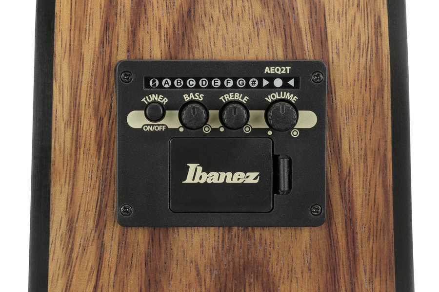 Ibanez V40WSCE Acoustic Guitar -  Open Pore Brown