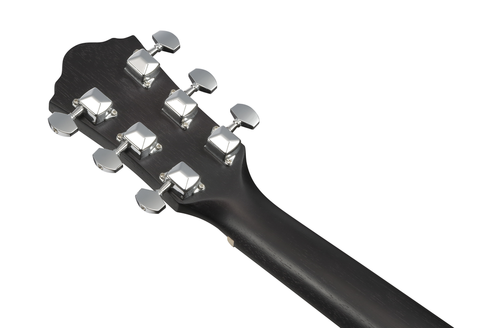 Ibanez V54NJP Acoustic Guitar w/ Bag - Weathered Black Open Pore
