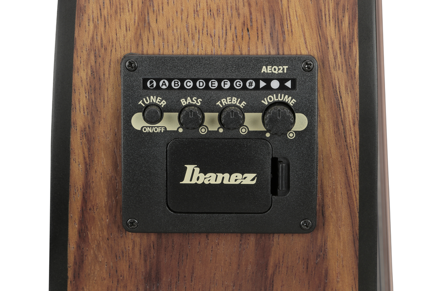 Ibanez VC40WSCE Acoustic Guitar - Open Pore Brown