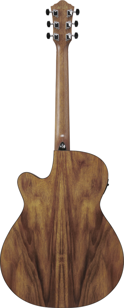 Ibanez VC40WSCE Acoustic Guitar - Open Pore Brown