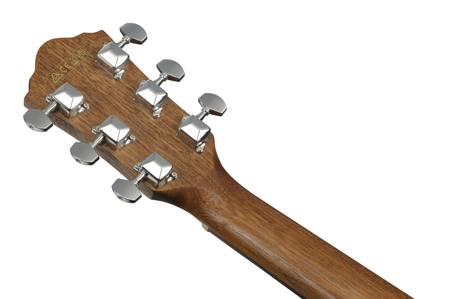Ibanez VC40WSCE Acoustic Guitar - Open Pore Brown