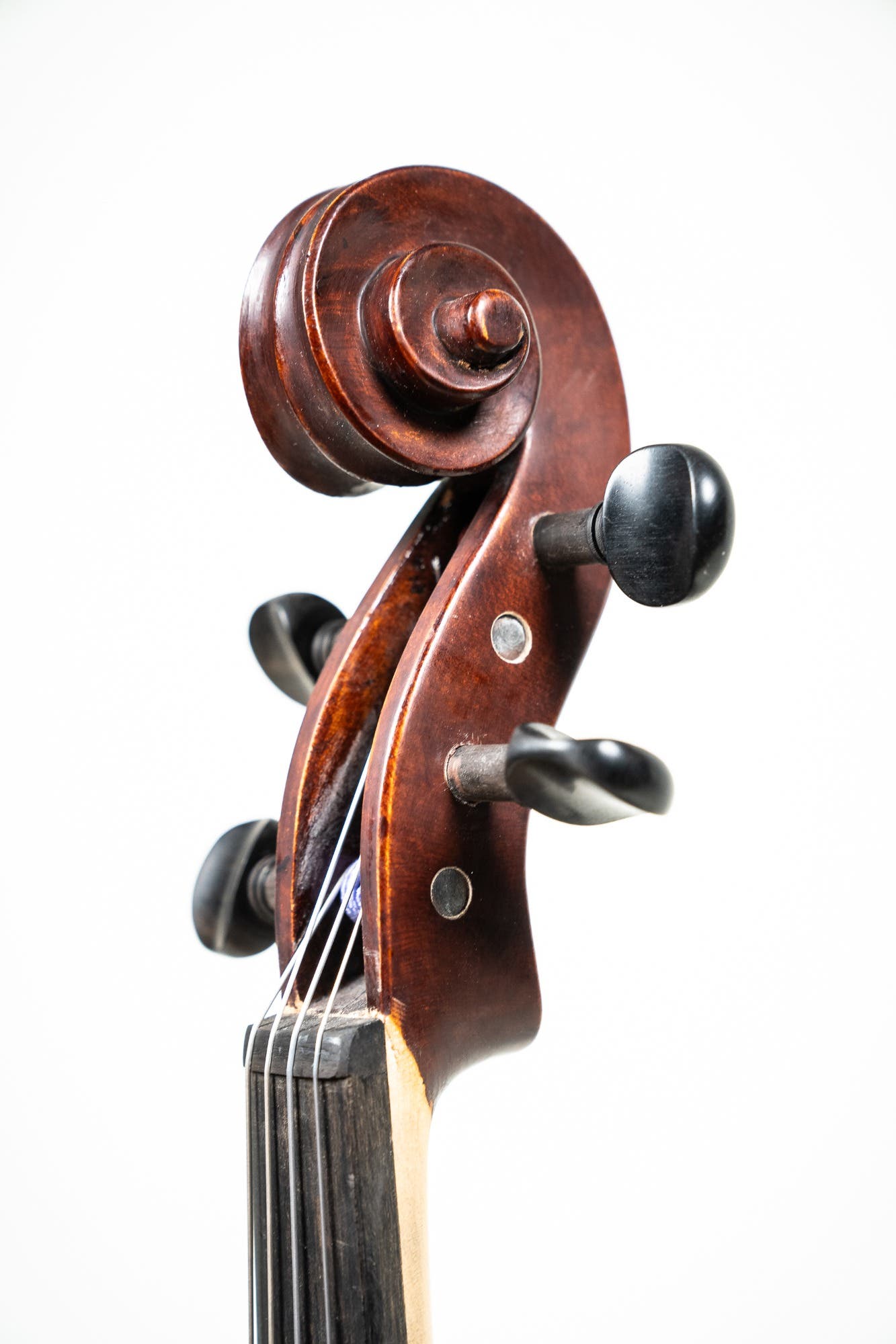 Gliga II 16 Inch Viola Outfit - Dark Antique Finish W/Tonica Strings