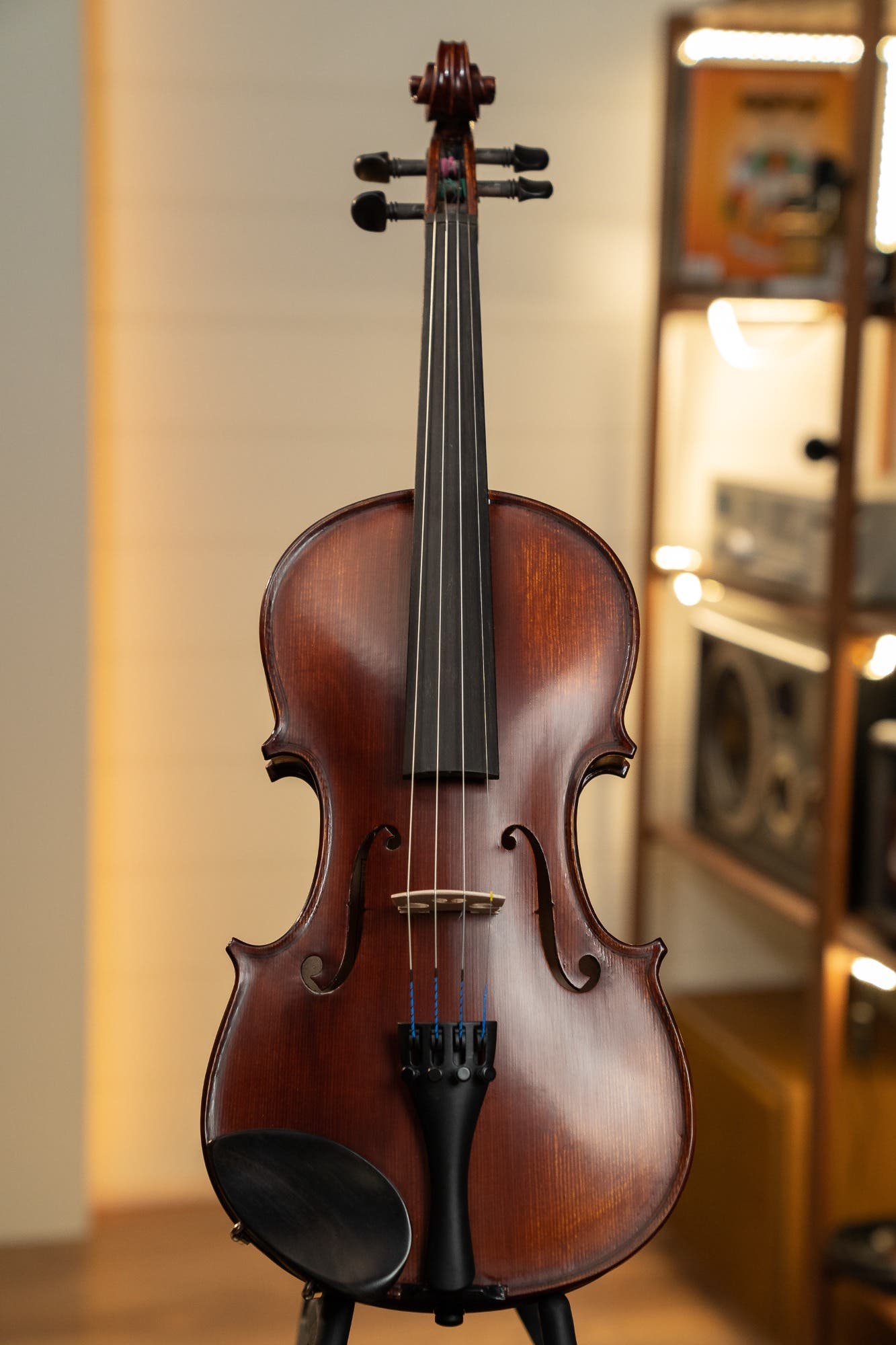 Gliga I 4/4 size Violin Outfit  - One Piece Back - Dark Antique