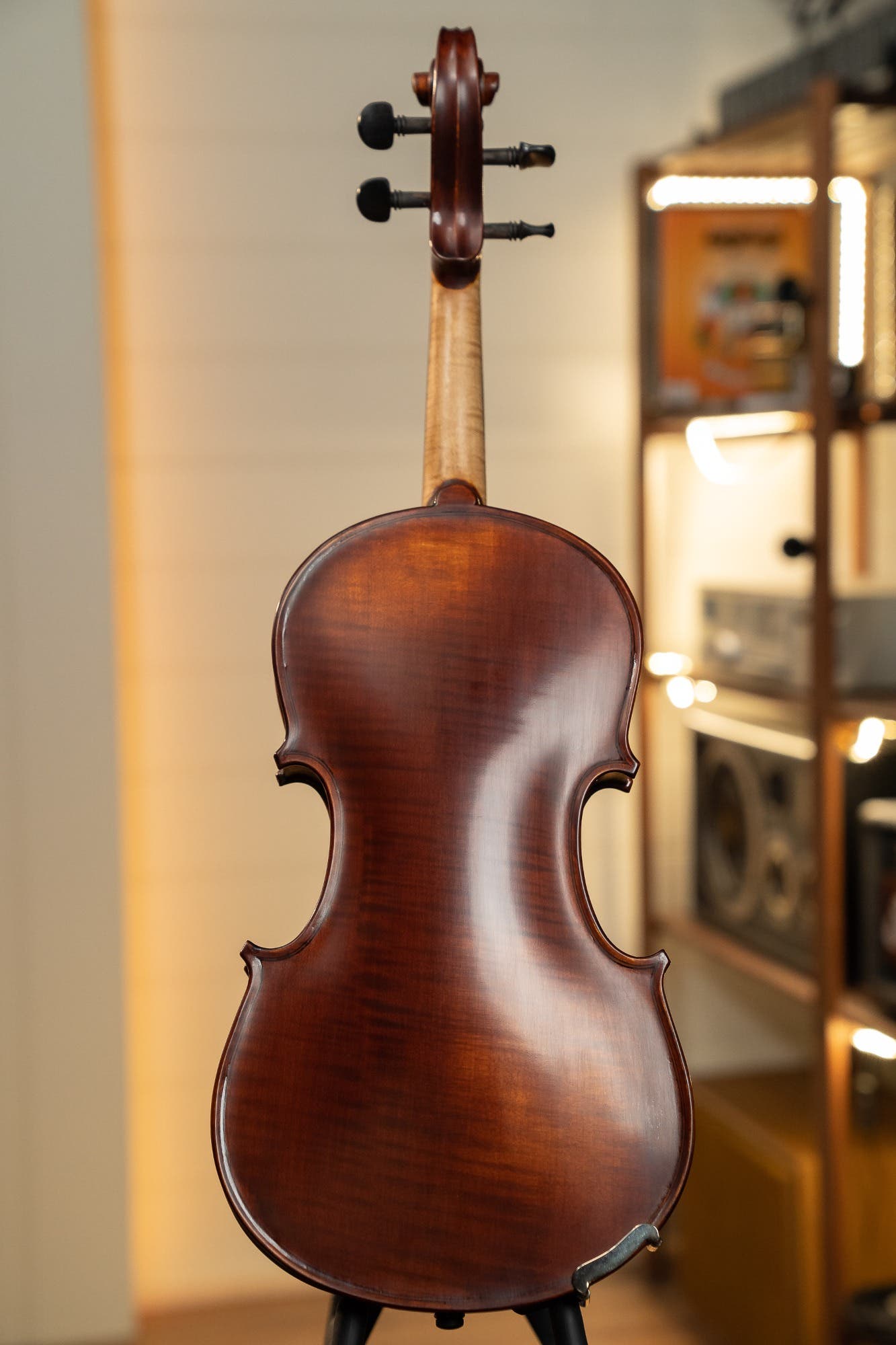 Gliga I 4/4 size Violin Outfit  - One Piece Back - Dark Antique