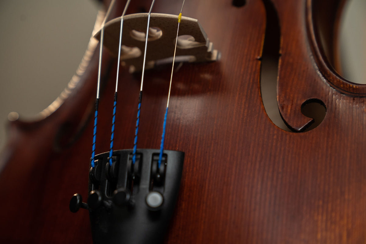 Gliga I 4/4 size Violin Outfit  - One Piece Back - Dark Antique