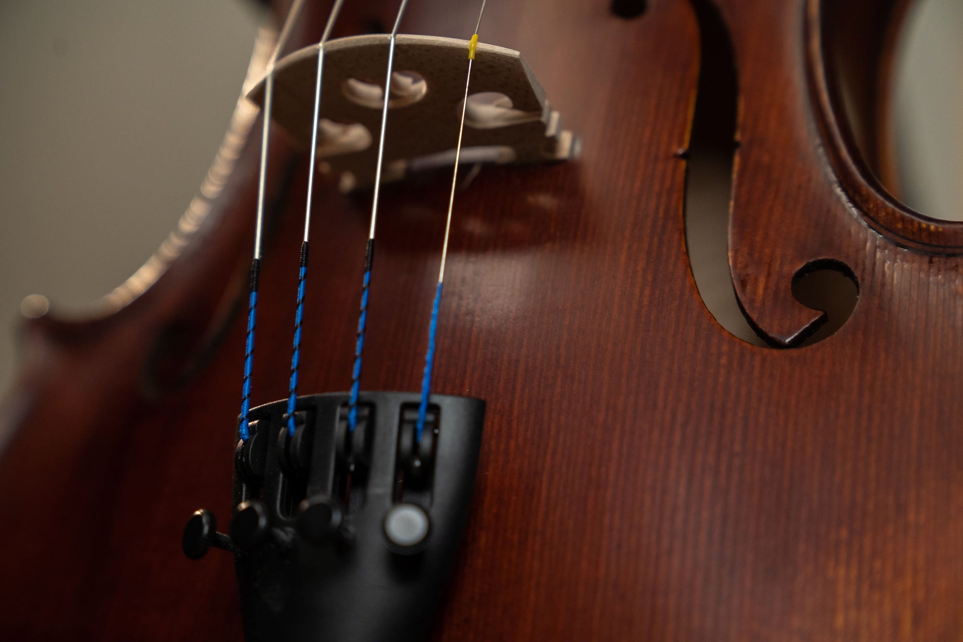 Gliga I 4/4 size Violin Outfit  - One Piece Back - Dark Antique