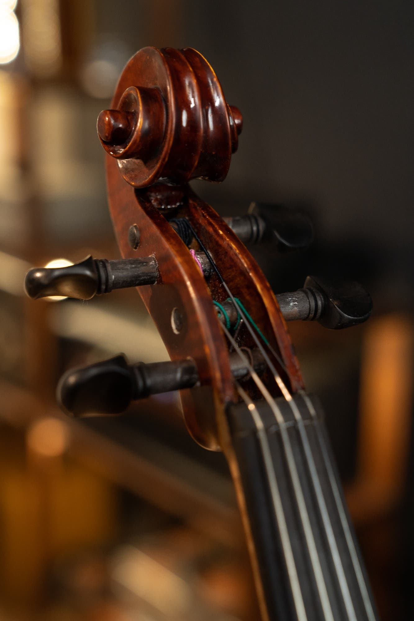 Gliga I 4/4 size Violin Outfit  - One Piece Back - Dark Antique