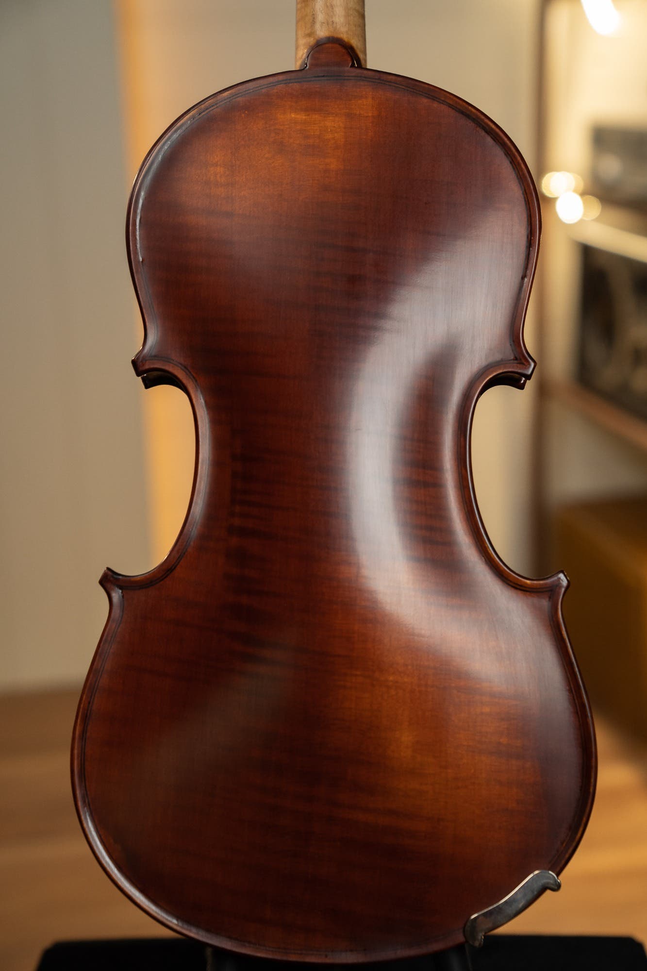 Gliga I 4/4 size Violin Outfit  - One Piece Back - Dark Antique