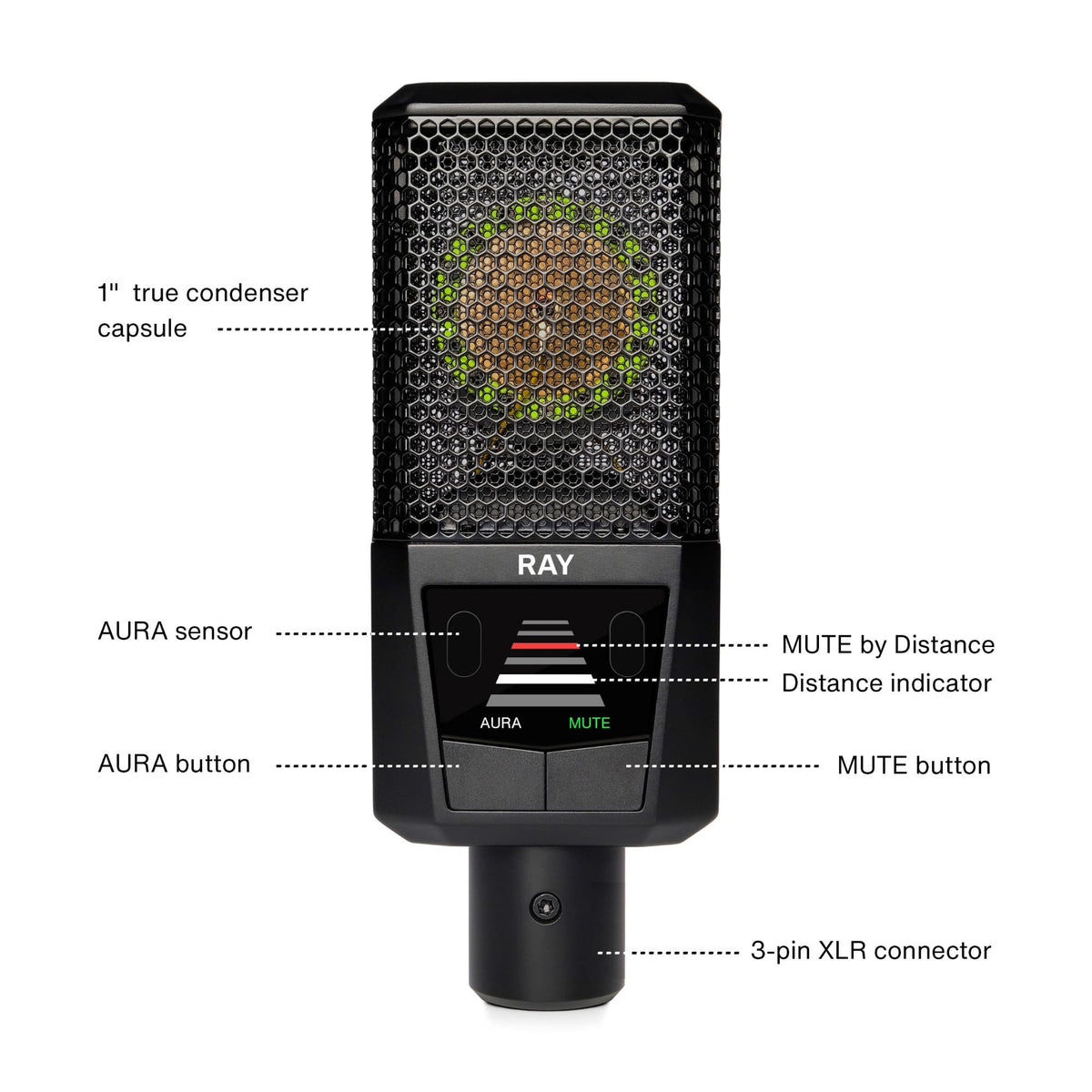 Lewitt RAY Intelligent Condenser Microphone