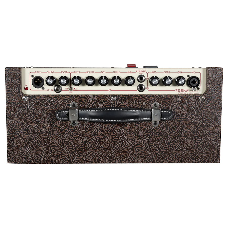 Ashdown Woodsman CLASSIC 40w Acoustic Amp Combo